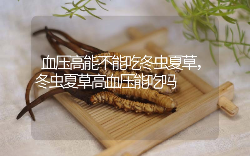 血壓高能不能吃冬蟲夏草，冬蟲夏草高血壓能吃嗎？