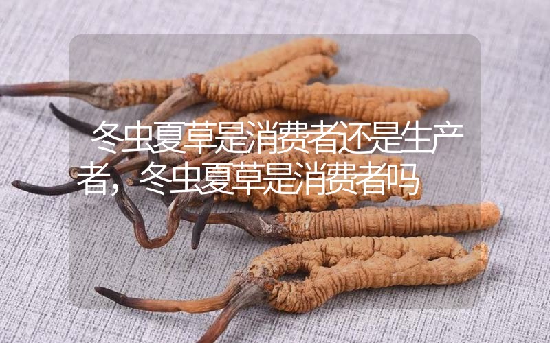 貧血吃冬蟲夏草有效果嗎，貧血虛弱者可以用冬蟲夏草嗎？