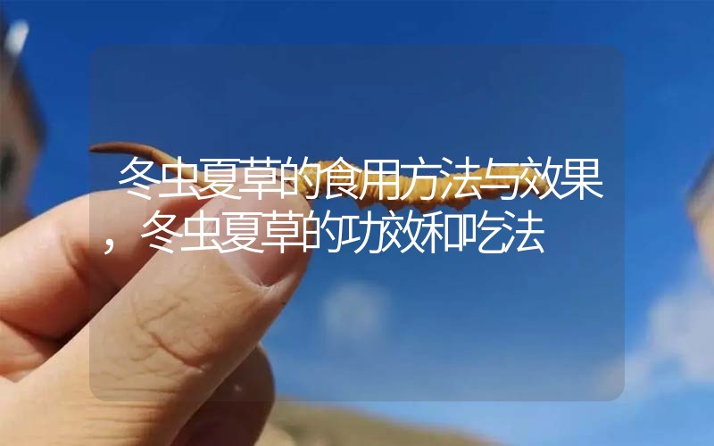 冬蟲(chóng)夏草的食用方法與效果，冬蟲(chóng)夏草的食用方法！