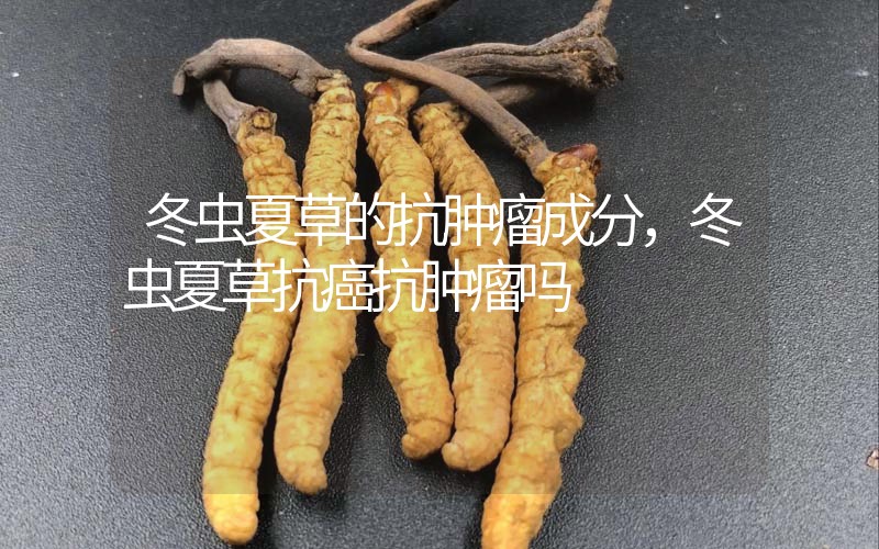 冬蟲夏草的抗腫瘤成分，冬蟲夏草抗癌抗腫瘤嗎？