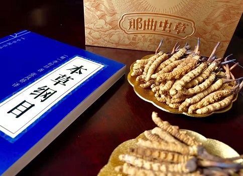 冬蟲夏草真就那么好嗎？它的主要功能是什么呀