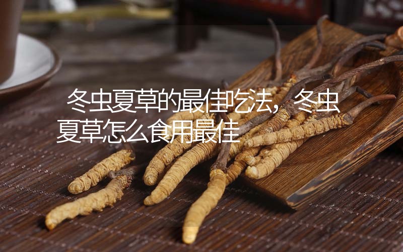 冬蟲夏草的最佳吃法，冬蟲夏草怎么食用最佳