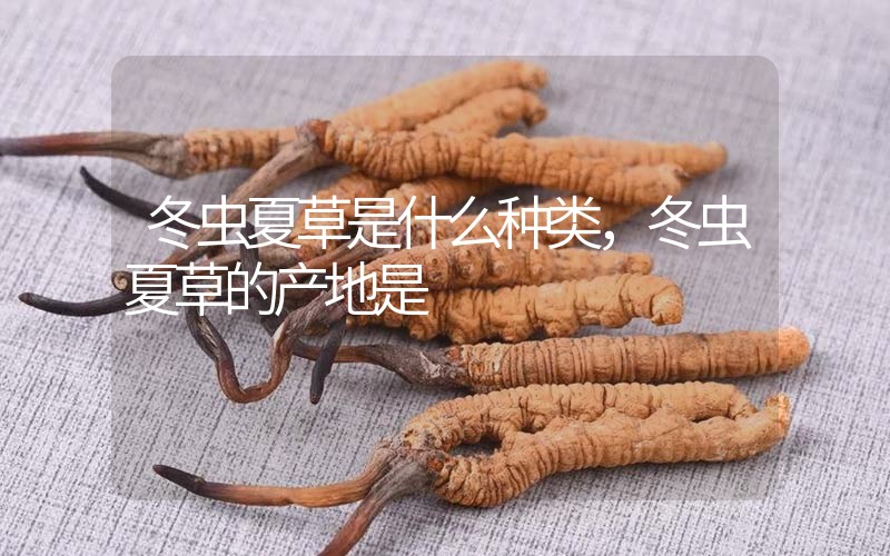 冬蟲夏草是什么種類，冬蟲夏草的產(chǎn)地是