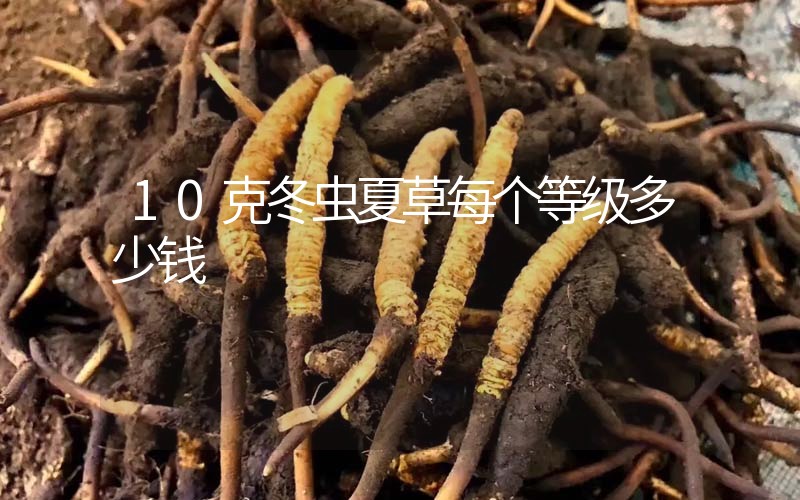 10克冬蟲夏草每個等級多少錢？