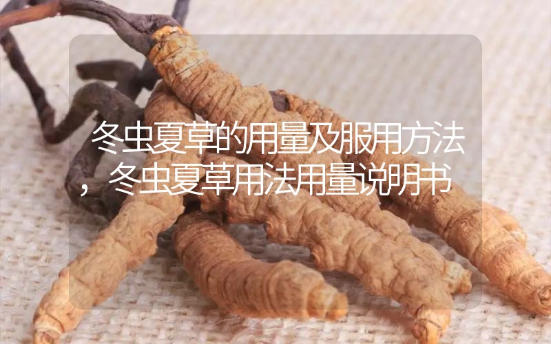 冬蟲(chóng)夏草的用量及服用方法，冬蟲(chóng)夏草用法用量