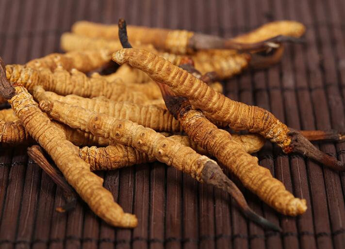 什么樣的冬蟲夏草算是優(yōu)質(zhì)的？
