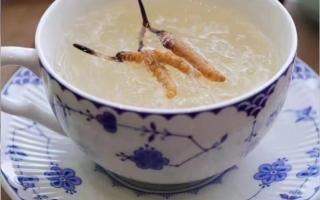 冬蟲夏草燉燕窩怎么做？