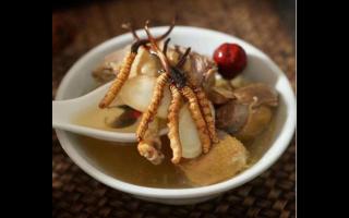 冬蟲(chóng)夏草蟲(chóng)體與草頭要一起吃？