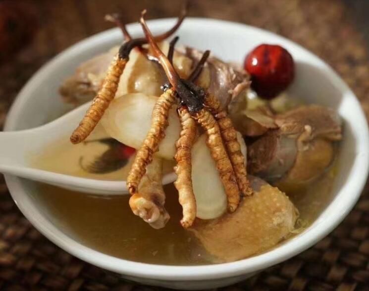 冬蟲夏草可以飯后吃嗎？