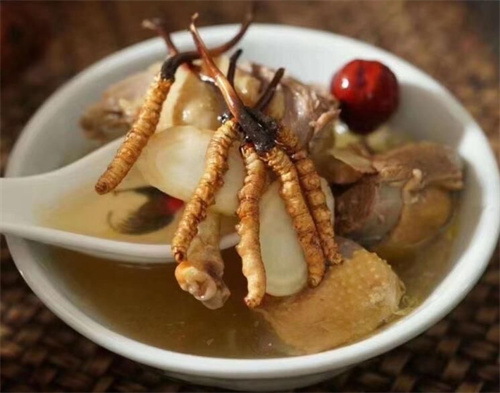 冬蟲夏草用什么壺煮水？