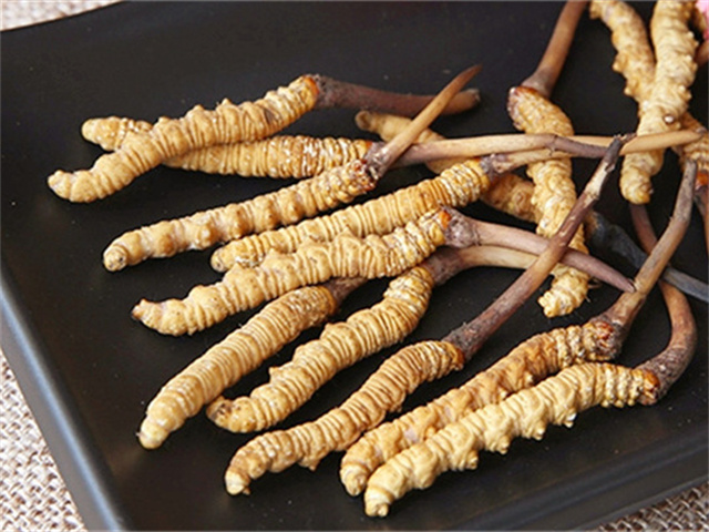 真的冬蟲(chóng)夏草什么價(jià)格？影響冬蟲(chóng)夏草價(jià)格波動(dòng)的3個(gè)關(guān)鍵因素