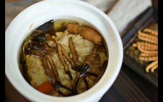 冬蟲夏草怎么食用？解鎖滋補養(yǎng)生的正確打開方式