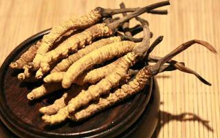 冬蟲夏草的價格一克：為何如此昂貴？