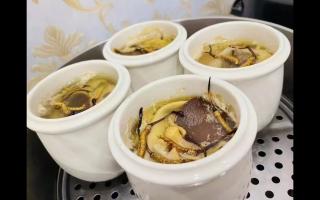 冬蟲夏草燉什么最好？5種黃金搭配讓滋補效果翻倍