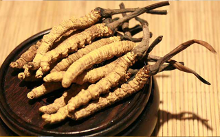 未來冬蟲夏草會漲價嗎？
