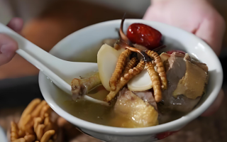 冬蟲(chóng)夏草搭配有道，滋養(yǎng)肺部效果妙