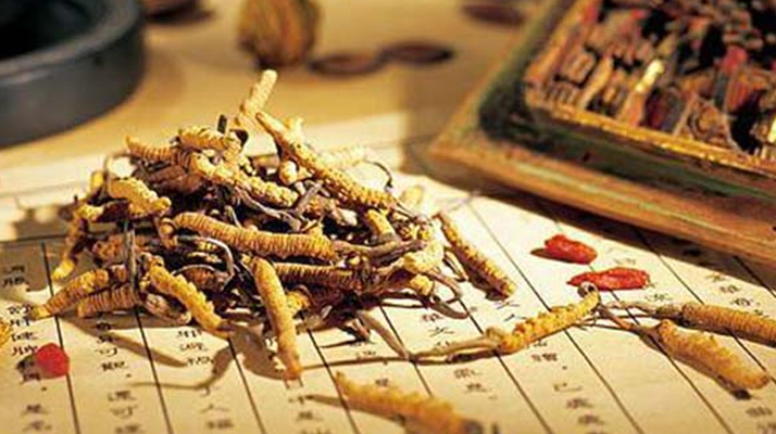 同仁堂健康冬蟲(chóng)夏草：傳承品質(zhì)，饋贈(zèng)健康