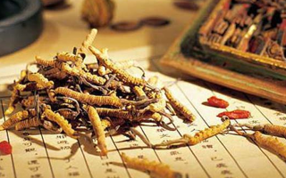同仁堂健康冬蟲夏草：傳承品質(zhì)，饋贈(zèng)健康