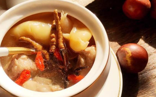 冬蟲夏草與什么泡水喝？養(yǎng)生搭配指南