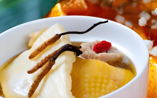 冬蟲夏草每天什么時候吃最好？一文詳解最佳食用時間