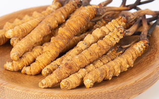 冬蟲夏草怎么驗(yàn)真假？教你幾招秒判斷真?zhèn)蚊丶?> </div>
            <div   id=