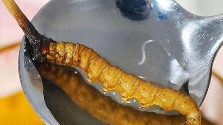 冬蟲(chóng)夏草泡完是什么樣