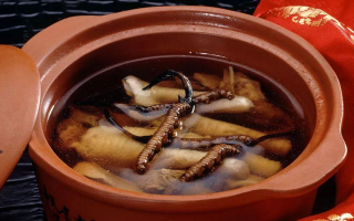 糖尿病可服用冬蟲(chóng)夏草嗎？科學(xué)解析其調(diào)理價(jià)值與注意事項(xiàng)