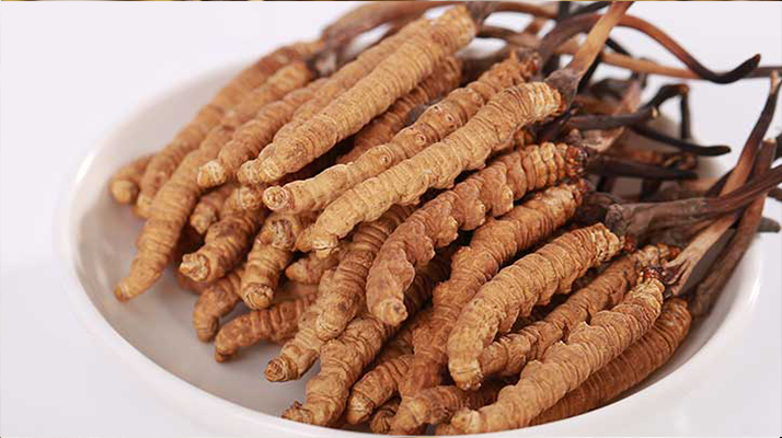 新鮮冬蟲(chóng)夏草能煮水喝嗎？答案與正確方法都在這