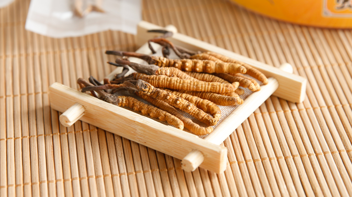 冬蟲夏草老鴨湯怎么燉？鮮香滋補的詳細做法與技巧