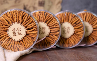 把握黃金時段！冬蟲夏草在這些時候吃效果更佳